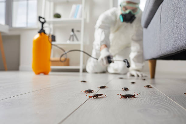 Trusted Fumigation Services service in Bellwood, IL - Nex Pest Control